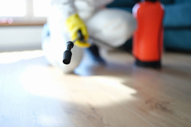 Professional Mold Removal in Dale, IN